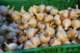 september20200823_small.jpg
