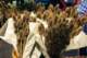 september20200825_small.jpg