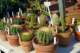 september20200828_small.jpg