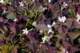 september20200829_small.jpg