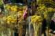 september20200830_small.jpg