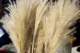 september20200831_small.jpg