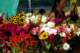 september2020086_small.jpg