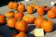 september202008_small.jpg