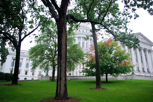 wisconsincapitolbuilding3.jpg