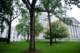 wisconsincapitolbuilding3_small.jpg