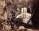 eastforkfall60fthighfrombelow_small.jpg
