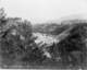 theyellowstoneriverbelowtowerfalls_small.jpg