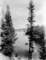 yellowstoneriverfivemilesfromyellowstonelake_small.jpg